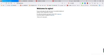 Nginx的location指令：实战解析与匹配规则
