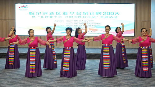 哈尔滨亚冬会：冰雪盛宴中的新突破