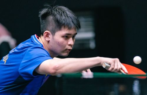 林诗栋：从新星到世界第一的青春风暴