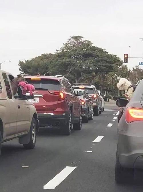 小狗掐架导致堵车，因为太萌没人劝架？
