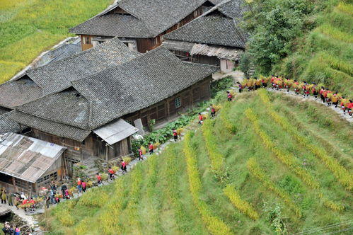 “雪村”变“棉花村”，成都一景区致歉，即日起关闭雪村