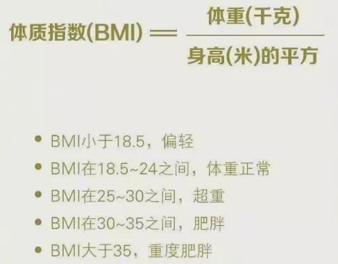 2025年，我与健康美的约定