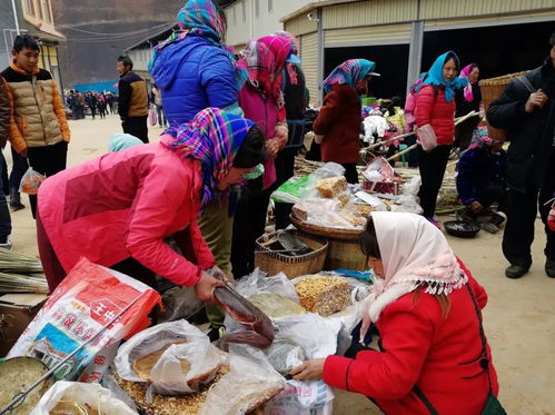 父母给的年货被子女扔进服务区垃圾箱？真相远比你想象的复杂