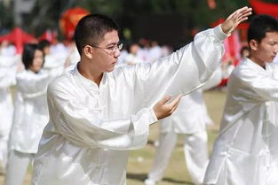 拗鸾肘、顺弯肘——杨丽太极拳中的独特魅力