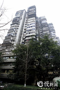 那栋楼（3）：他与它的故事