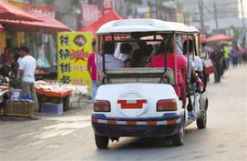 景区摆渡车：便利还是谋利？游客的真实体验