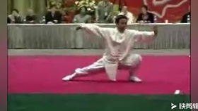 赵堡太极拳108式：杨丽的太极之路与智慧传承