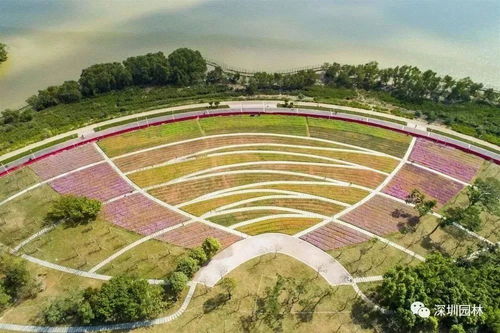 市民自发吊唁黄旭华：花海摆成潜艇模样，深情缅怀‘核潜艇之父’