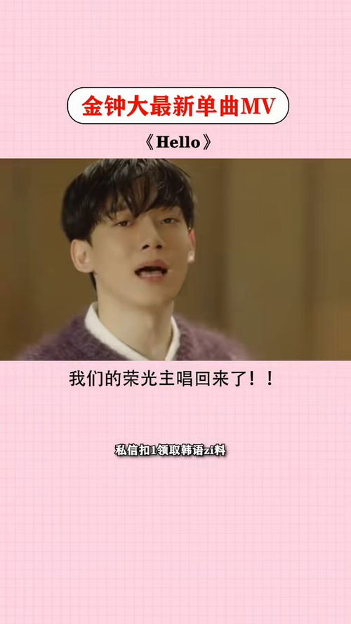 我们回来了：一场关于坚持与梦想的归来之旅