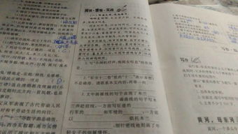 《家》读后感：在文字中寻找自我与成长