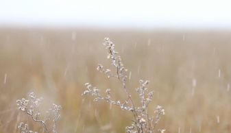 慢慢落下：一场与时间的对话