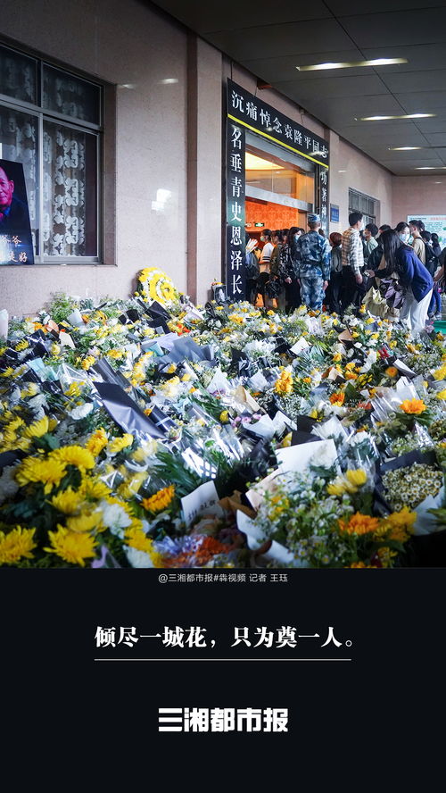 倾尽一城花，只为奠一人：一场跨越时空的深情告别