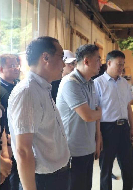 民政局偶遇留几手与葛夕：一场婚姻的风波与公众视野下的情感迷局