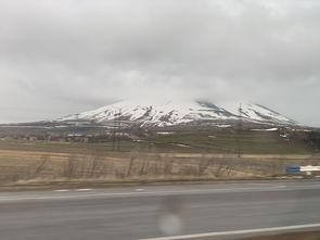 错综复杂的情节，行云流水的故事：一场关于友情与爱情的考验