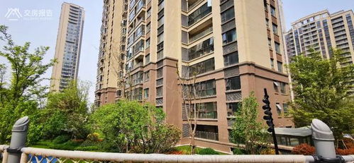 上海一小区208户居民仅靠一部电梯通行，背后的故事令人深思