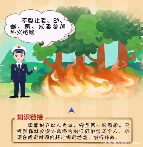 7名小孩玩火引发森林火灾，家长赔偿145万！背后真相令人深思