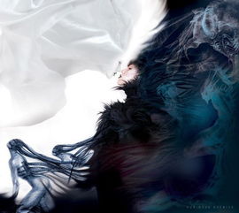 梦呓深处的秘密：一场关于自我探索的心灵旅程