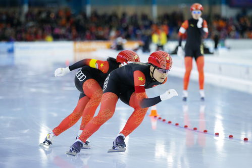 见证荣耀：中国国家速度滑冰队的辉煌时刻