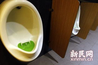 大妈在男厕小便池装水被拍下：公共厕所的尴尬与文明探讨