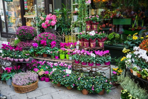 买花：从仪式感消费到日常悦己