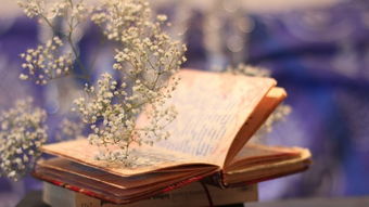 十年之约|人在路上行，祸从脚底生：一路走来的感悟