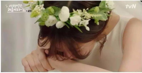 写给未来女婿的第1封信：从家书到心语，传承爱与责任