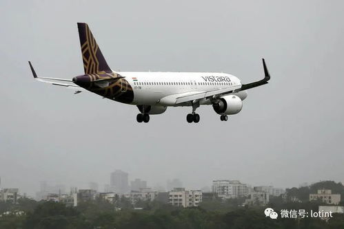 108名乘客行李被落在广州，一场跨国飞行的尴尬经历