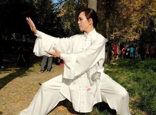 挤太极拳基本技法-杨丽太极拳知识大全