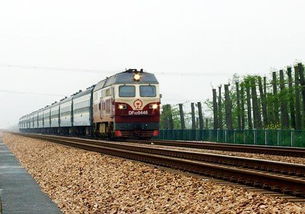 我国将增开老年人旅游列车，银发族的春天来了！