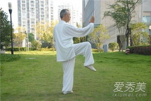 杨式太极拳：独立步与基本功的完美结合