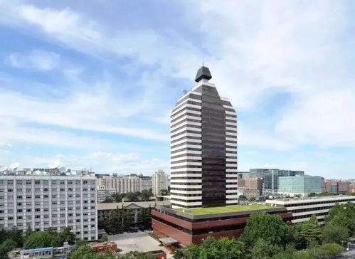 88岁“无量仙翁”王德顺：健身近40年，用热爱诠释生命的无限可能