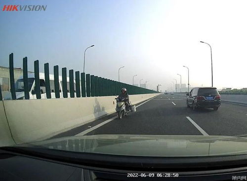 在夜晚的高架上，我看见世间牛马的百味人生