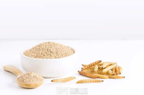 欧洲食物将合法添加虫粉：小虫子如何改变食品工业