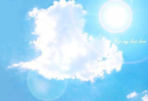 大家好，我是雪梅：从平凡到热搜的温暖故事