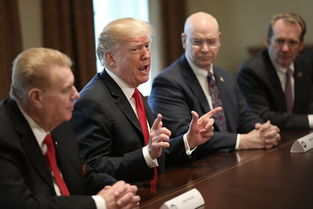 特朗普宣布对输美钢铝征收25%关税，全球市场震动