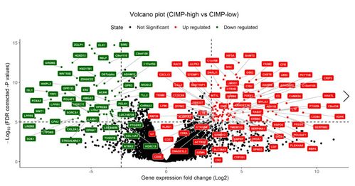 转录组分析（三）：GO与KEGG富集分析及可视化实战