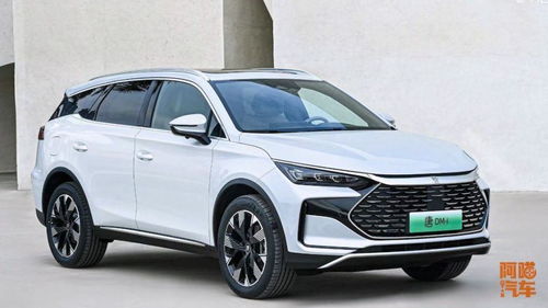 比亚迪全系上智驾，谁慌了？