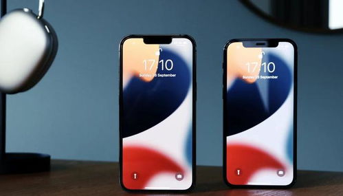 为什么手机标准版更受欢迎？从微博用户的真实需求说起