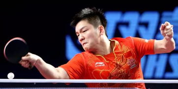 樊振东陈梦四年内确保直接参赛WTT：他们的选择与未来