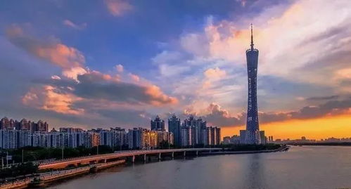 广州为何难出“杭州六小龙”？一个第三者的观察