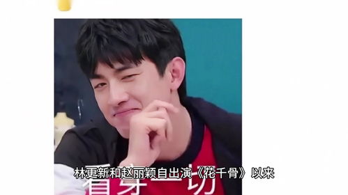 林更新回应是否三搭赵丽颖：粉丝热议背后的情感与职业操守