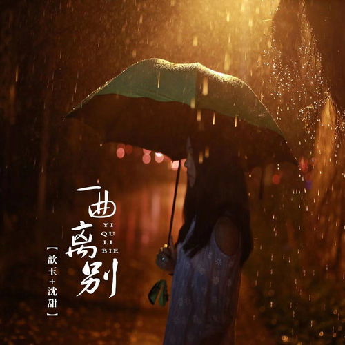 离别与音乐交织的午后：一场灵魂深处的告别