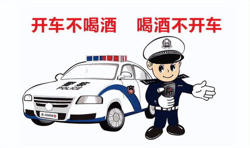 喝酒不开车：一场深刻的生命教训