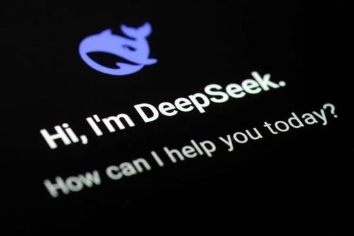 马斯克谈DeepSeek：中国AI崛起的秘密武器