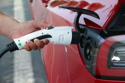 车主擅拔他人正使用的充电枪被判赔：一场因小失大的教训