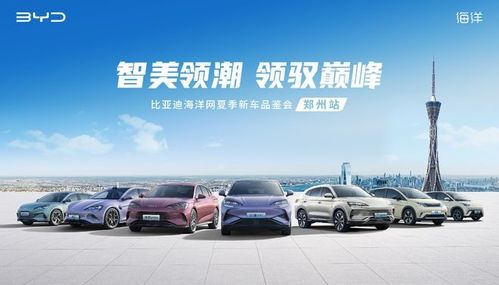 比亚迪海洋网智驾版车型：加配不加价，年轻人的智能座驾