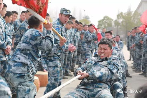 周末特种兵（特辑）：新年特种兵的挑战与成长