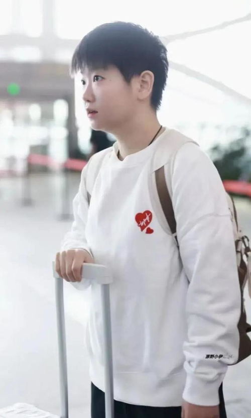 王楚钦成亚冬会野生代言人：从赛场到热搜，他是如何做到的？