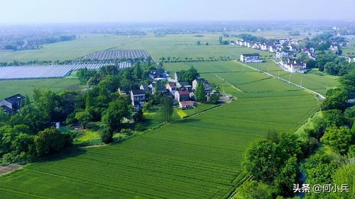 江苏宿迁农田被挖事件：真相如何？官方介入调查