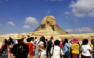 蓝战非的埃及冒险：一场穿越沙漠与历史的旅行